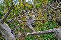 PARIKKALA, FINLAND - SEPTEMBER 29, 2013: Sculptures by ITE-artist Veijo Ronkkonen in his sculpture park. Parikkalan patsaspuisto.