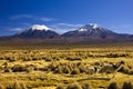 Parinacota and Pomerade volcanos - Altiplano in the Central Andes, Bolivia