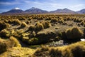 Parinacota and Pomerade volcanos - Altiplano in the Central Andes, Bolivia