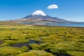 Parinacota and Pomerape twin volcanos