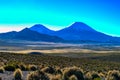 Parinacota and Pomerape Volcanoes Royalty Free Stock Photo