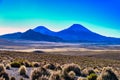 Parinacota and Pomerape Volcanoes Royalty Free Stock Photo