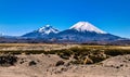 Parinacota and Pomerape Volcanoes Royalty Free Stock Photo