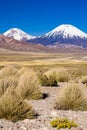 Parinacota and Pomerape Volcanoes in Chi Royalty Free Stock Photo