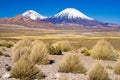 Parinacota and Pomerape Volcanoes in Chile