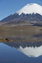 Parinacota Volcano on the Altiplano, Chile Royalty Free Stock Photo