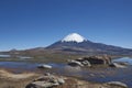 Parinacota Volcano on the Altiplano, Chile Royalty Free Stock Photo