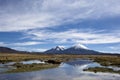 Parinacota Volcano Cone in Nacional Parque Lauca, Chile Royalty Free Stock Photo