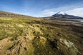 Parinacota Volcano reflected in Lake Chungara, Chile Royalty Free Stock Photo