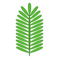 Paripinnate leaf icon, cartoon style Royalty Free Stock Photo