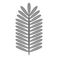 Paripinnate leaf icon monochrome Royalty Free Stock Photo