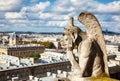 Paris aerial view with Chimera Royalty Free Stock Photo