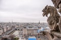 Paris aerial view with Chimera of Notre Dame