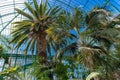 Paris, the Auteuil greenhouses