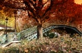 Paris in automne Royalty Free Stock Photo
