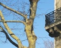 Paris balcony