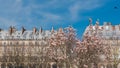 Paris, beautiful building Royalty Free Stock Photo