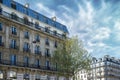 Paris, beautiful facades rue de Sevres Royalty Free Stock Photo