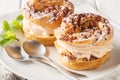 Paris-Brest a delicate Choux pastry with Hazelnut Praline cream muslin filling closeup on a plate. Horizontal Royalty Free Stock Photo
