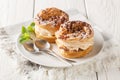 Paris-Brest is an indulgent iconic French dessert made of choux pastry and hazelnut praline closeup on a plate. Horizontal Royalty Free Stock Photo