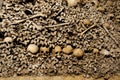 Paris Catacombs Skulls and bones Royalty Free Stock Photo