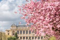 Paris, the Jardin des Plantes Royalty Free Stock Photo