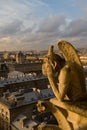 Paris Chimera Royalty Free Stock Photo