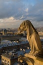 Paris Chimera Royalty Free Stock Photo
