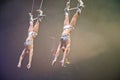 Paris Circus Trapeze Artists