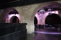 Paris Discotheque under the bridge Royalty Free Stock Photo