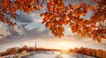 Paris with Eiffel Tower against autumn leaves in France Royalty Free Stock Photo