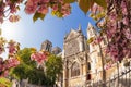 Paris, Notre Dame cathedral with blossomed tree in France Royalty Free Stock Photo