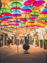 Paris, France - Apr 21, 2019 - Small street covered with colourful umbrellas under the bright sun