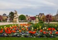 Paris / France - April 05 2019. Marvelous spring Tuileries garden and view at the Louvre Palace