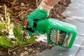 Paris, France - August 15, 2018 : Gardener using Roundup herbicide in a french garden. Roundup is a brand-name of an herbicide con