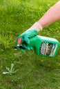 Paris, France - August 15, 2018 : Gardener using Roundup herbicide in a french garden. Roundup is a brand-name of an herbicide con