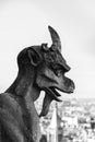 Gargoyle statues on the walls of Notre Dame Cathedral in Paris Royalty Free Stock Photo