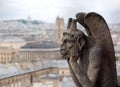 Paris France Chimera or grotesque is a fantastic figure used for