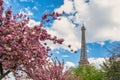 Paris France, Eiffel Tower with spring cherry blossom flower Royalty Free Stock Photo