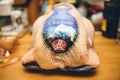 Front view of fresh Capon Chapon cockerel meat on kitchen wooden top Price tag of 36,62 Euros on the packaging Label