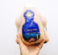 Man hand holding against white background fresh Capon Chapon cockerel meat