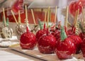 PARIS, FRANCE-DECEMBER 8, 2013: Colourful toffee apple on a stick covered in red sugar candy decorated with small Christmas trees