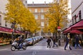 PARIS, FRANCE-DECEMBER 8, 2013 : People cross a pedestrian crossing into a street with cars parked under yellow trees. Royalty Free Stock Photo