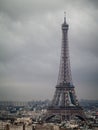 Paris, France, Eiffel tower over Parisian rooftops, winter cloudy day