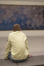 Paris, France, Musee de l`Orangerie, NymphÃÂ©as, Claude Monet, museum, Water Lilies, impressionism, impressionist, painting