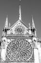 Rose Window on South tower of Notre Dame Cathedral in Paris Royalty Free Stock Photo