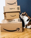 Cat putting paw to multiple amazon boxes