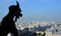 Gargoyles Notre Dame cathedral of Paris