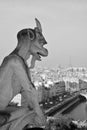 Gargoyles Notre Dame cathedral of Paris Royalty Free Stock Photo