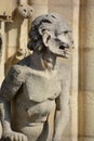 Gargoyles Notre Dame cathedral of Paris Royalty Free Stock Photo